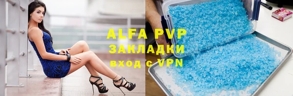 гашик Алексин