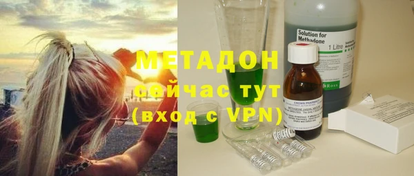 гашик Алексин