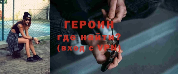 гашик Алексин