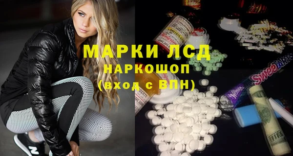 гашик Алексин