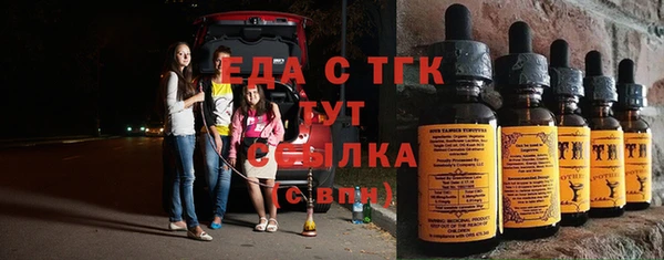 гашик Алексин