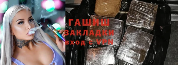 гашик Алексин