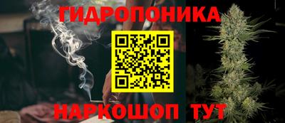 кокс Кудрово
