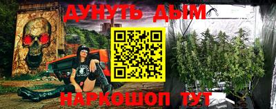 кокс Кудрово