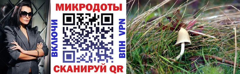 Псилоцибиновые грибы Magic Shrooms  Североуральск 