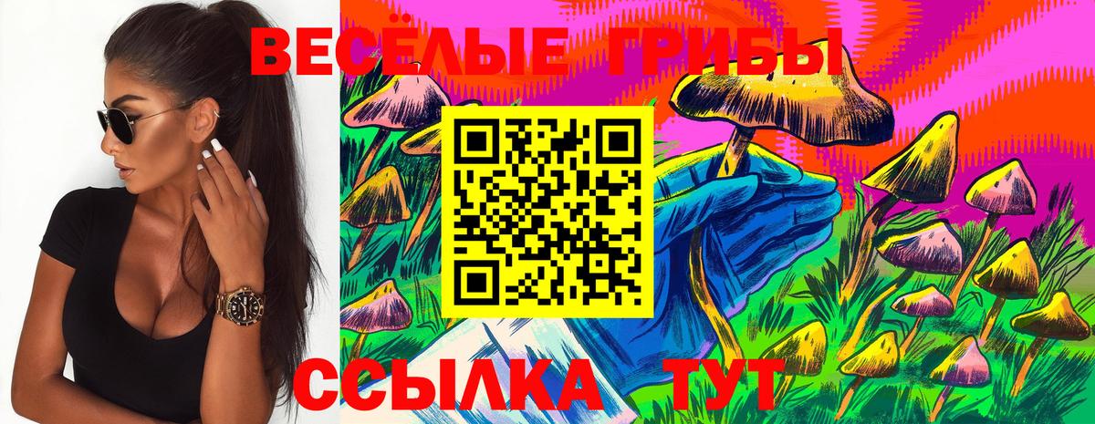 Псилоцибиновые грибы мухоморы  купить  сайты  Вход с VPN  Североуральск  Псилоцибиновые грибы Psilocybine cubensis 